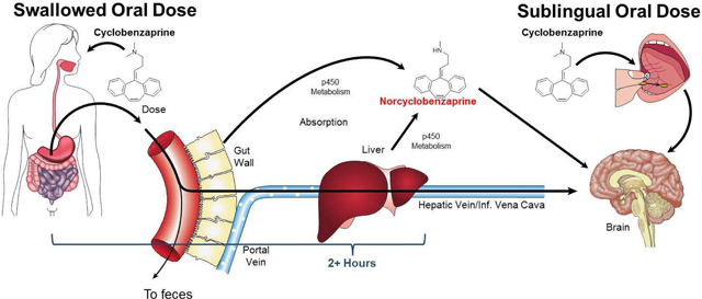 Y:\Vineyard\Live jobs\2013\05 May\10 May\Shift I\v344643 TONIX PHARMACEUTICALS HOLDING CORP. - S1\Draft\03-Production